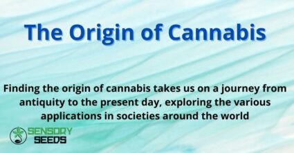 The Origin of Cannabis