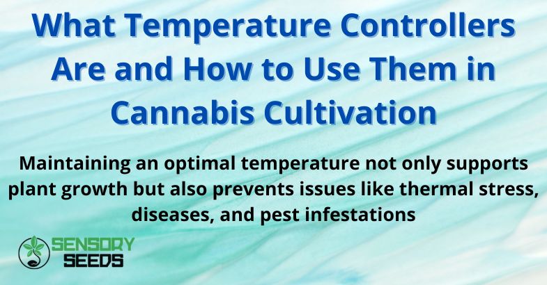 What Temperature Controllers Are and How to Use Them in Cannabis Cultivation